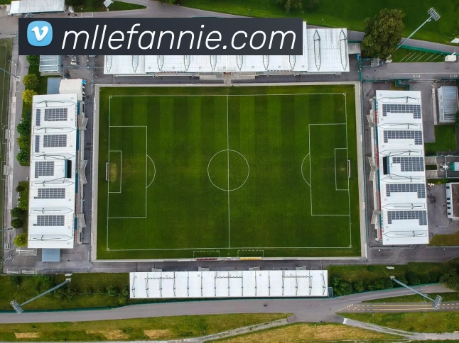 米兰milan官网APP 体育赛事宣传图